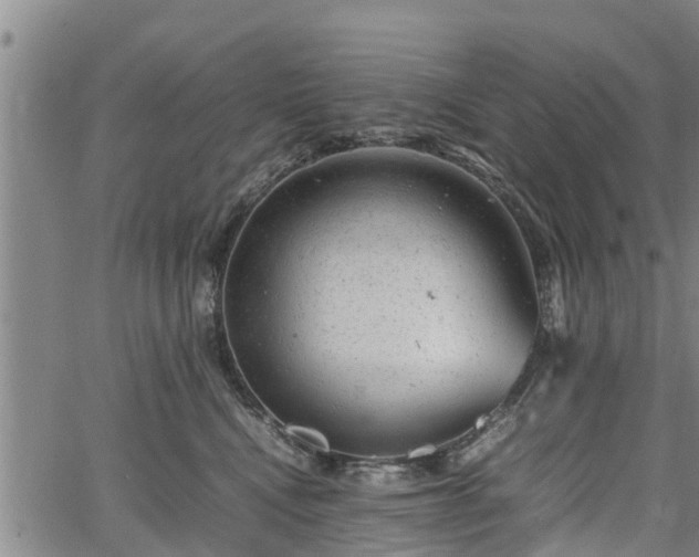 X0000064750472200602131231