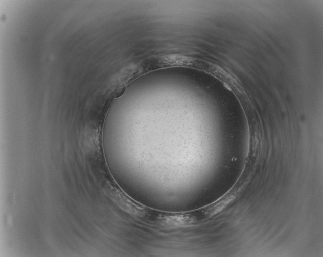 X0000064750473200602131231