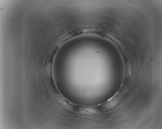 X0000064750475200602131231