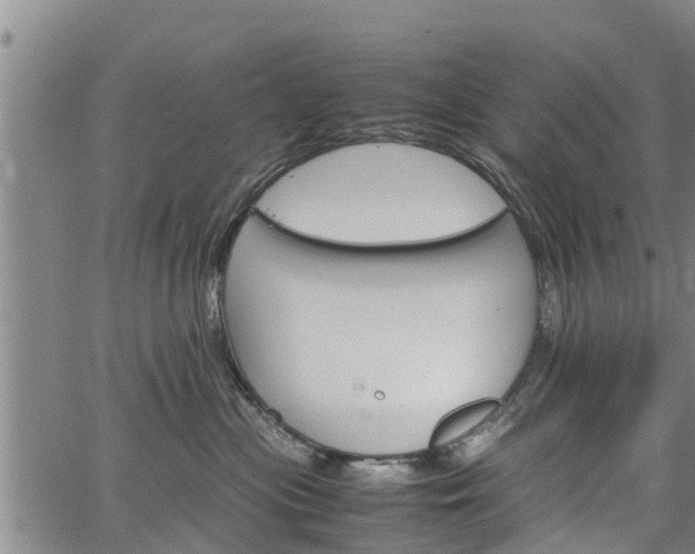 X0000064750477200602131231