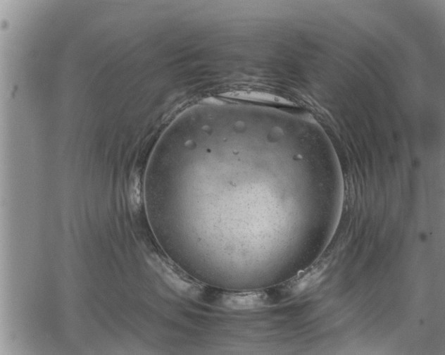 X0000064750479200602131231