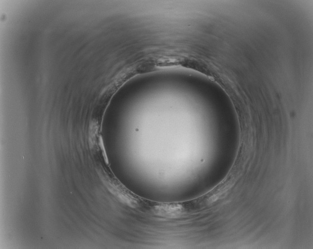 X0000064750480200602131231