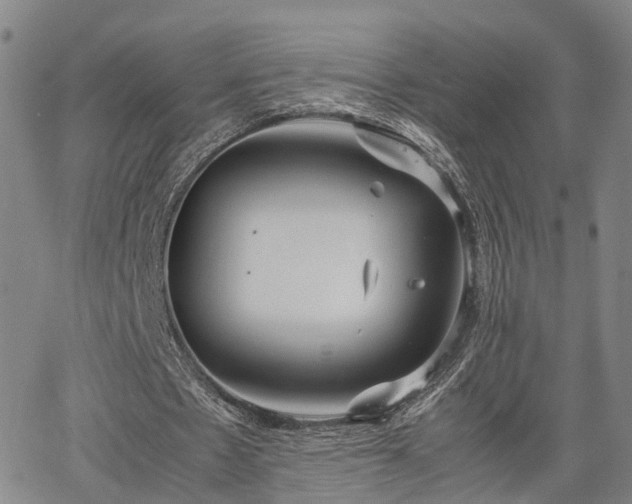 X0000064750481200602131230