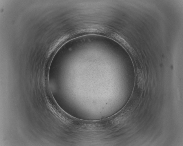 X0000064750482200602131230