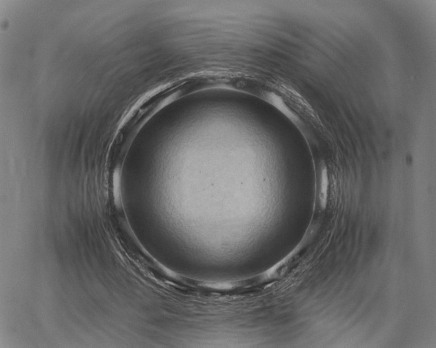 X0000064750484200602131230