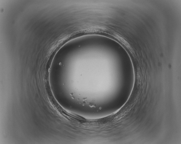 X0000064750485200602131230