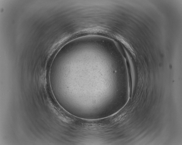 X0000064750486200602131230