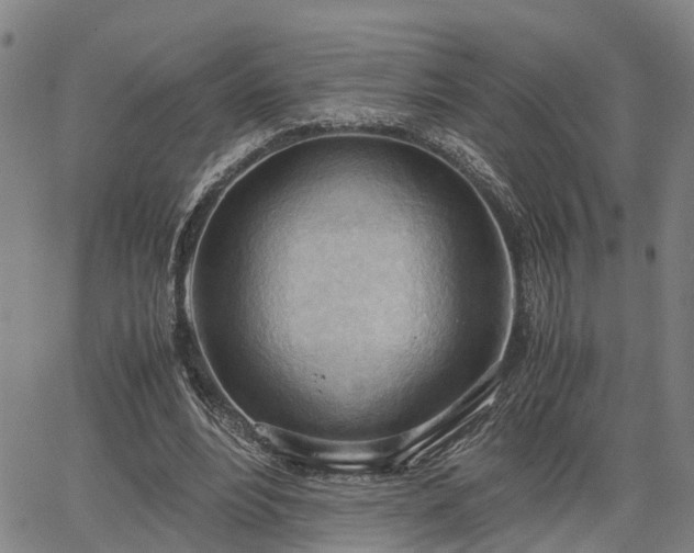 X0000064750488200602131230