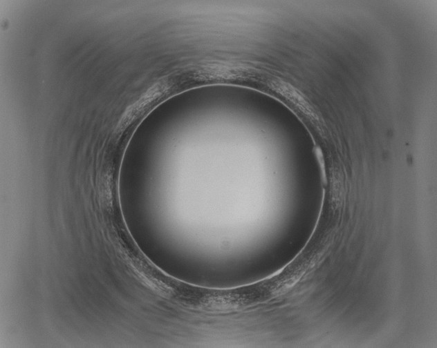 X0000064750489200602131230