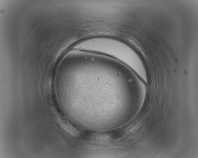 X0000064750491200602131230