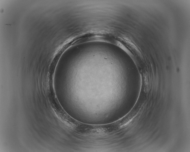 X0000064750492200602131230