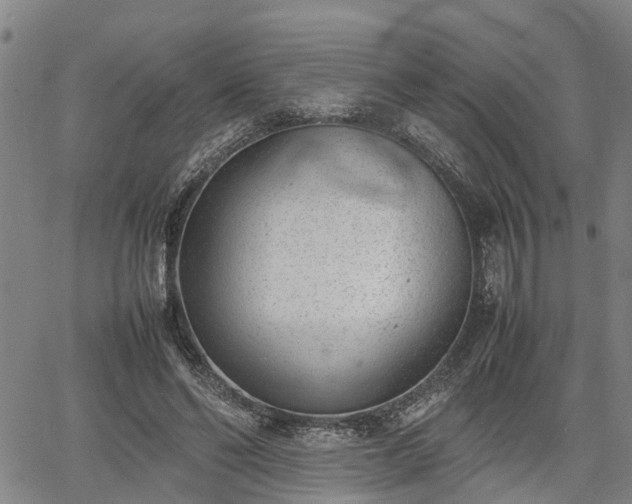 X0000064750494200602131230