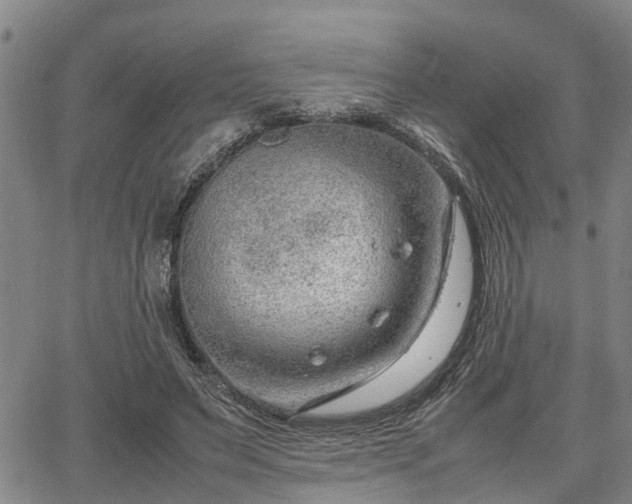 X0000064750495200602131230