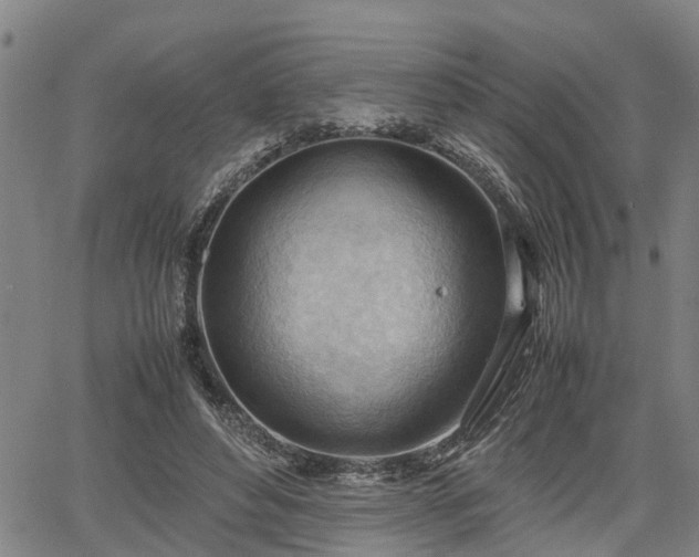 X0000064750496200602131230