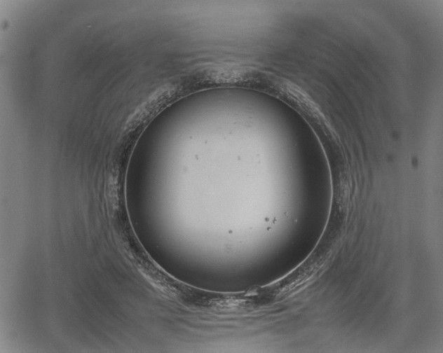 X0000064750497200602131230