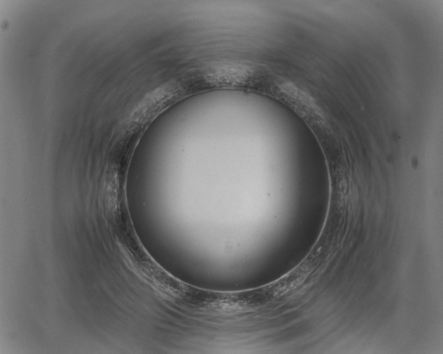 X0000064750498200602131230