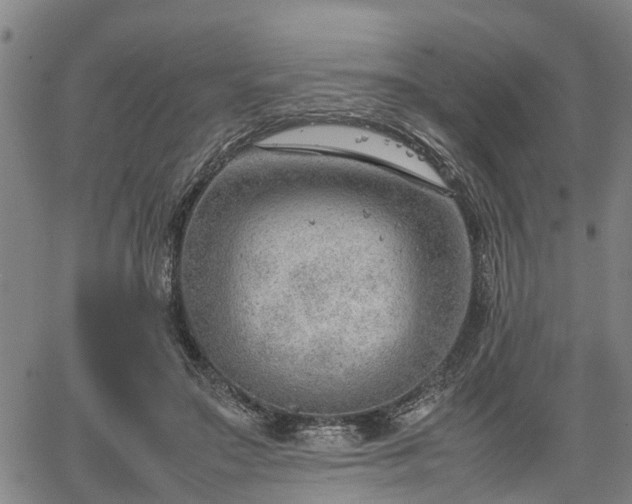 X0000064750499200602131230