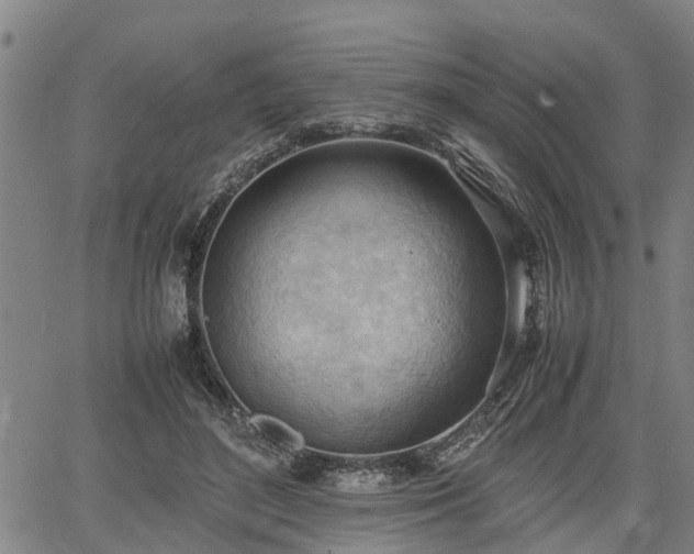 X0000064750500200602131230