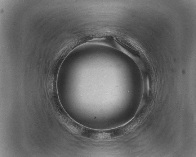 X0000064750501200602131230