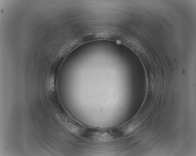 X0000064750502200602131230