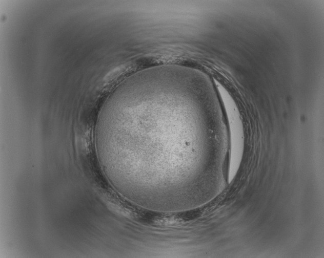 X0000064750503200602131230