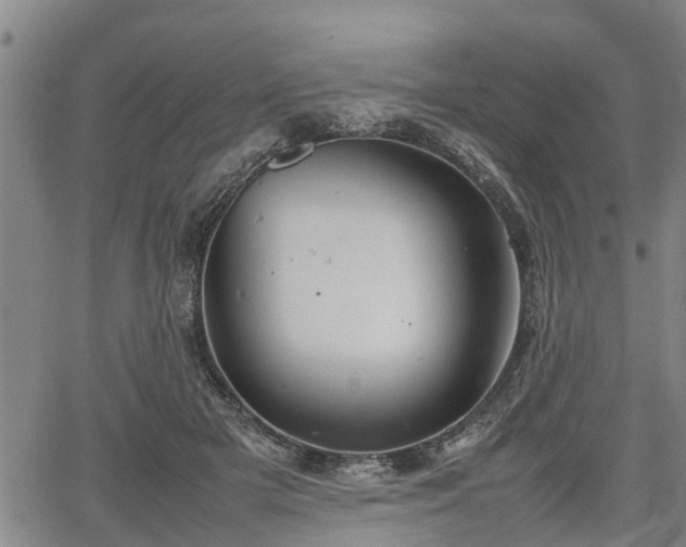 X0000064750505200602131230