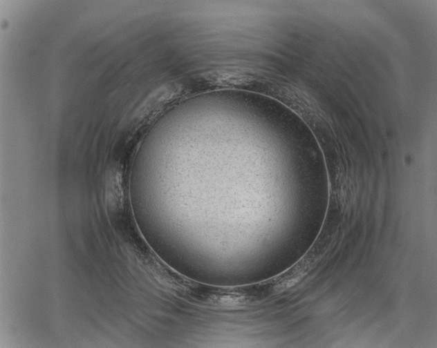 X0000064750506200602131230