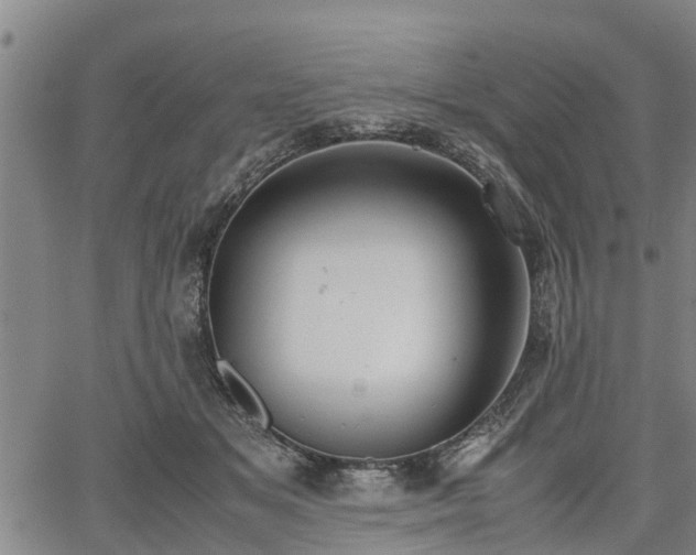 X0000064750509200602131230