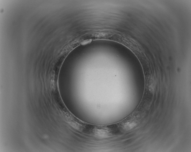 X0000064750510200602131230