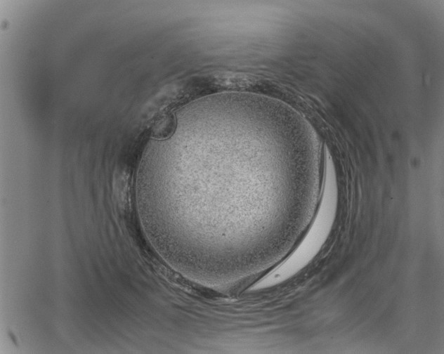 X0000064750511200602131230