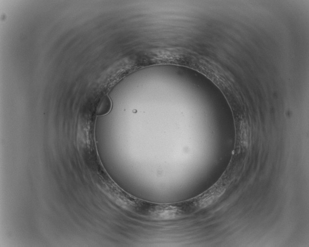 X0000064750514200602131230