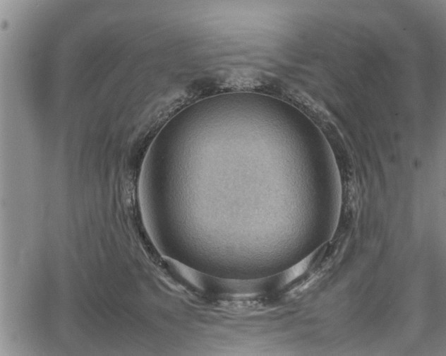 X0000064750517200602131230