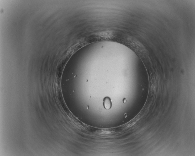 X0000064750518200602131230