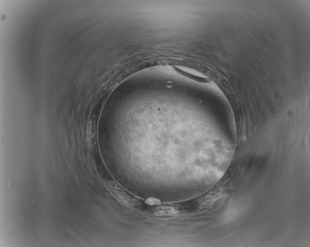 X0000064750519200602131230