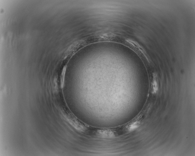 X0000064750520200602131230