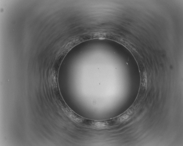 X0000064750522200602131230