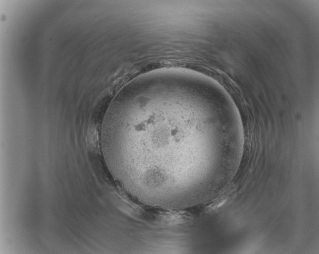 X0000064750523200602131230