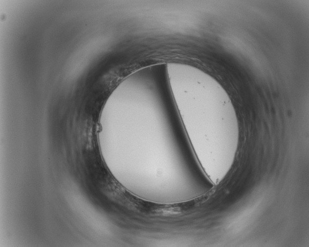 X0000064750525200602131230