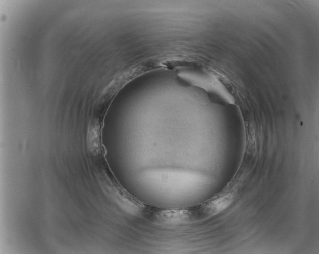 X0000064750526200602131229