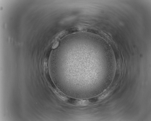 X0000064750527200602131229