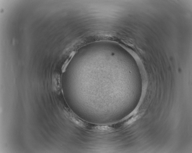 X0000064750528200602131229