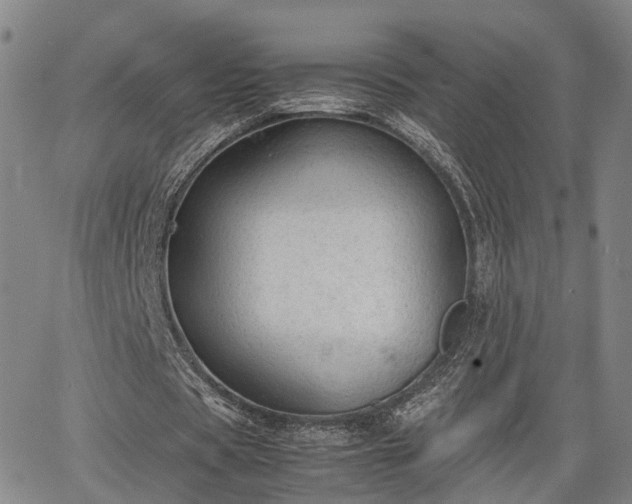 X0000064750529200602131229