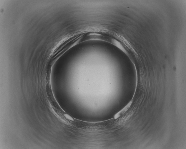 X0000064750530200602131229