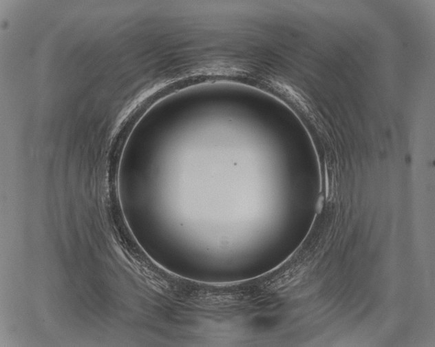 X0000064750531200602131229