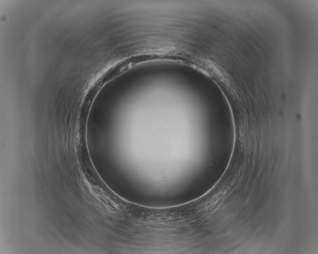 X0000064750532200602131229