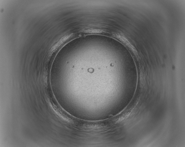 X0000064750533200602131229