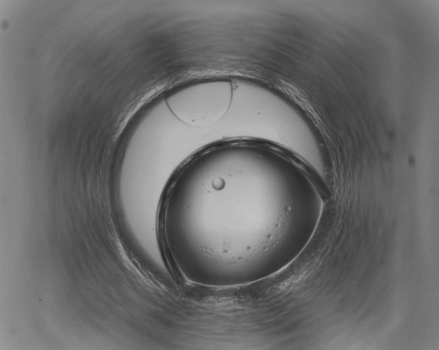 X0000064750534200602131229