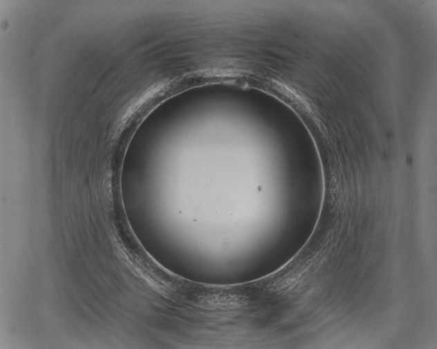 X0000064750535200602131229