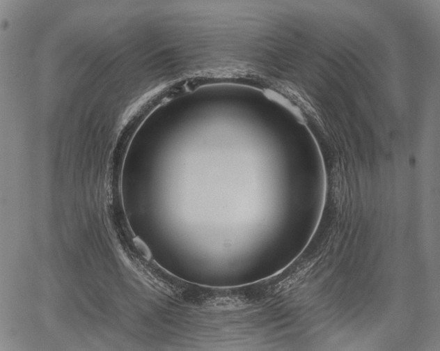 X0000064750536200602131229