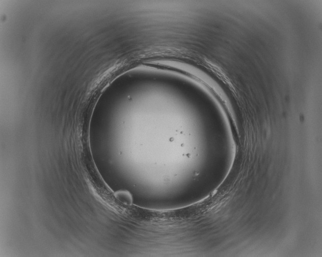 X0000064750538200602131229